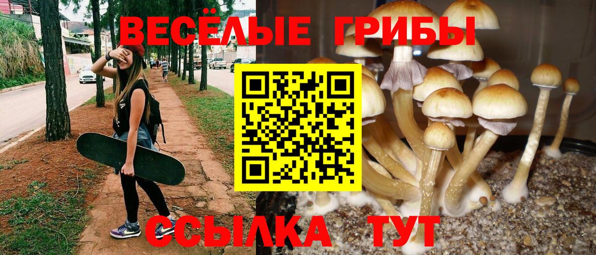 Галлюциногенные грибы GOLDEN TEACHER Чистополь