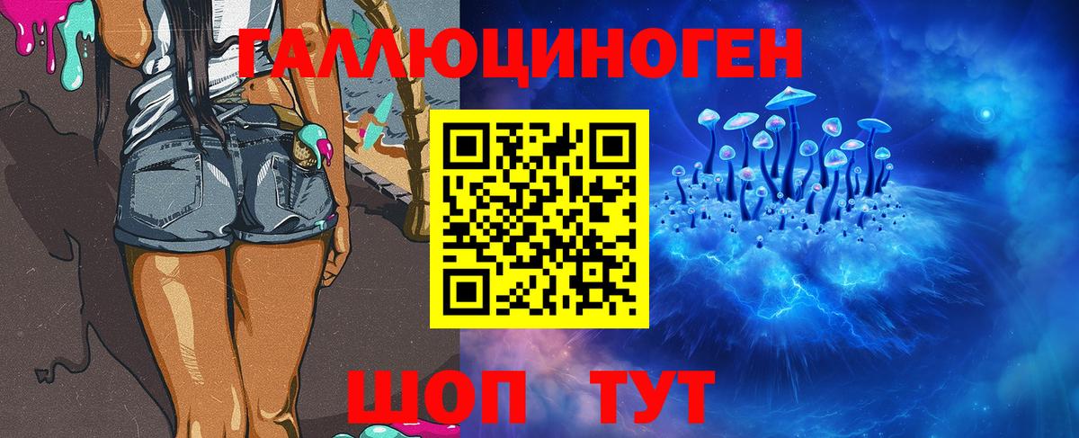наркота  Вход с VPN  Чистополь  Галлюциногенные грибы Cubensis 